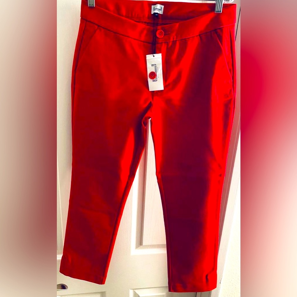 Adolfo Dominguez Red pants